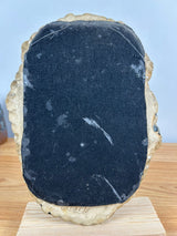 John Glick Plum Tree Pottery Mid Century Modern Hanging Wall Mirror